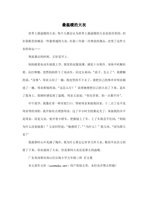 最温暖的大衣_小学六年级作文500字
