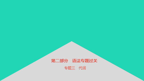 安徽省中考英语第二部分语法专题过关专题三代词课件1