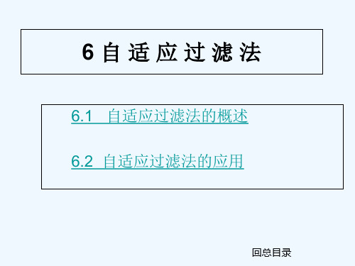 第六章 自适应过滤法 PPT