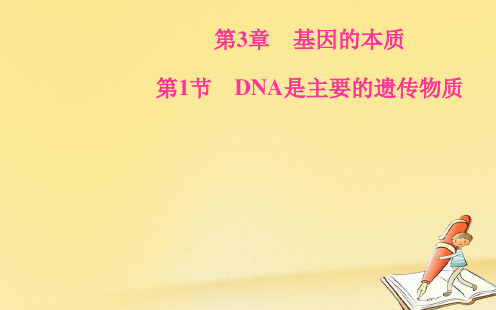 2018-2019生物必修2(人教版)课件：第3章第1节DNA是主要的遗传物质