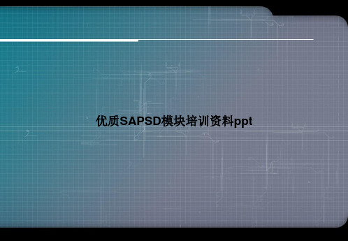 优质SAPSD模块培训资料ppt优选演示