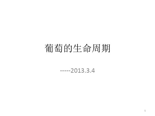 葡萄的生命周期培训资料