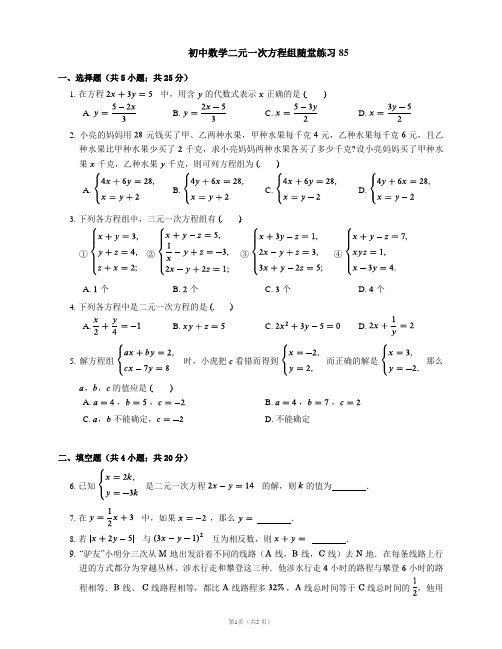 初中数学二元一次方程组随堂练习85