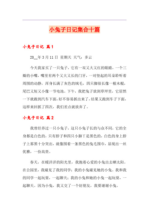 小兔子日记集合十篇