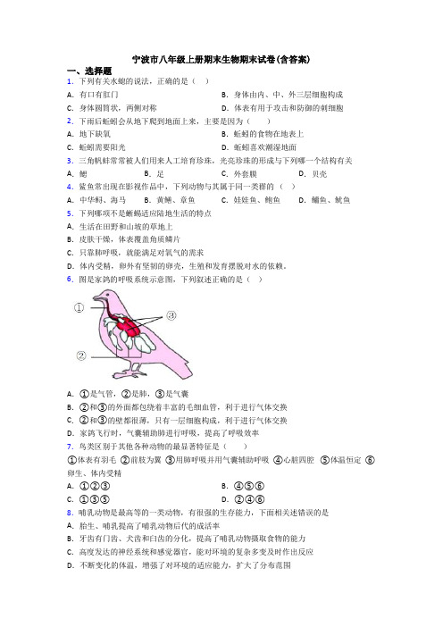 宁波市八年级上册期末生物期末试卷(含答案)