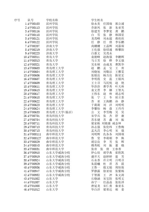 2011数模成绩山东赛区