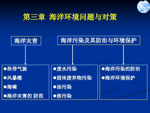 第一节海洋灾害及应对措施