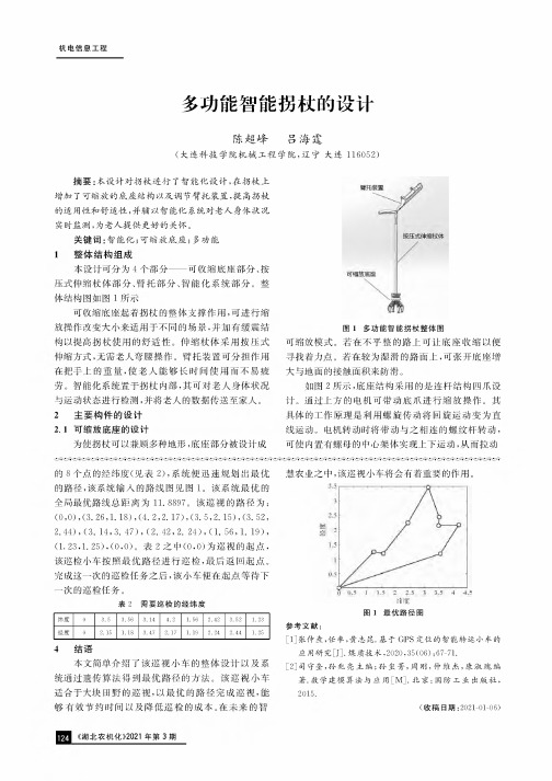 多功能智能拐杖的设计