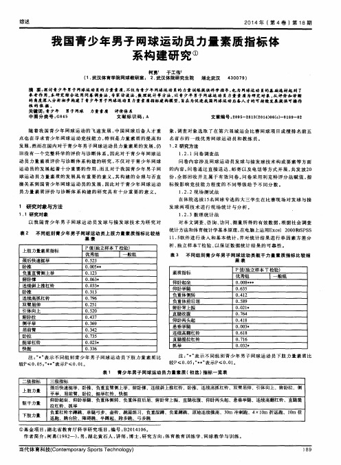 我国青少年男子网球运动员力量素质指标体系构建研究