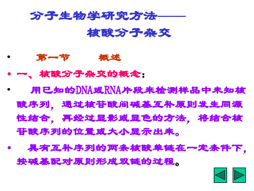 分子生物学研究方法(下)核酸分子杂交技术