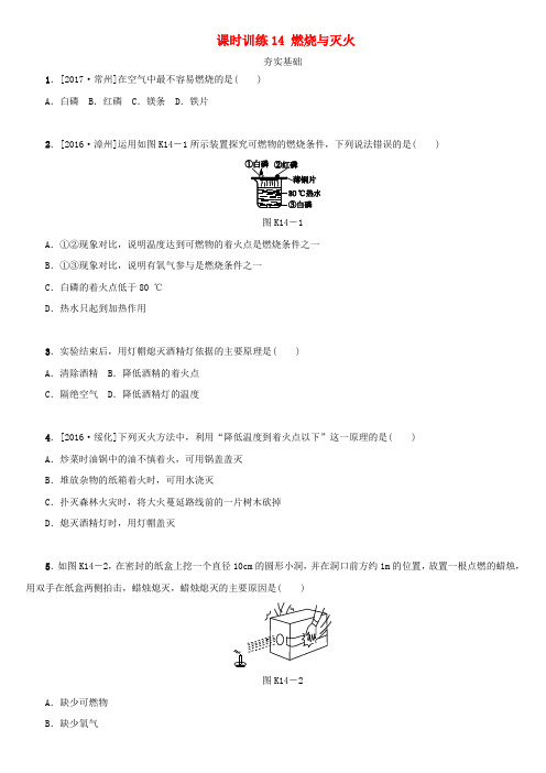 湖南省2018年中考化学复习课时训练14燃烧与灭火练习