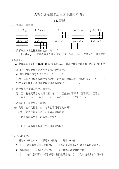 人教部编版三年级语文下册同步练习14.蜜蜂(有答案)