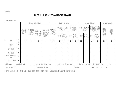 农民工工资支付专项检查情况表