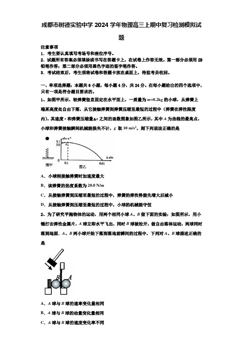 成都市树德实验中学2024学年物理高三上期中复习检测模拟试题含解析