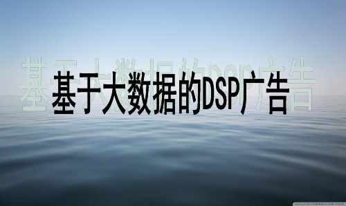 关于DSP的详细介绍