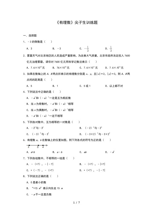 人教版七年级数学上册第1章 《有理数》尖子生训练题