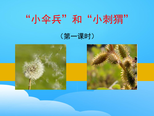 《“小伞兵”和“小刺猬”》PPT【优秀课件】