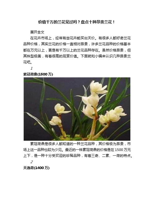 价值千万的兰花见过吗？盘点十种昂贵兰花！