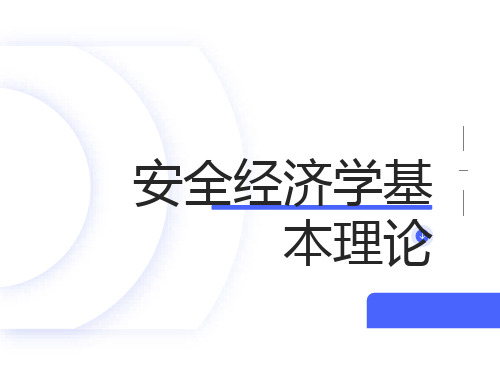 安全经济学的基本理论