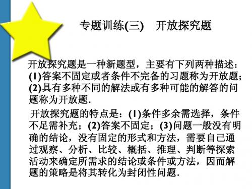 2011中考数学全套复习课件(共52)专题3