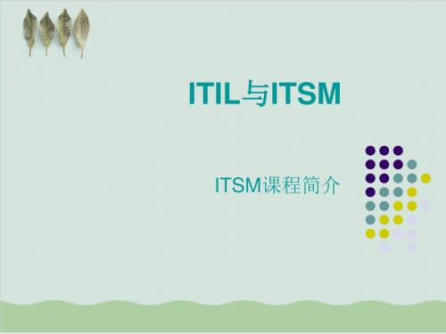 IT服务管理经典课件-ITSM简介PPT课件( 30页)