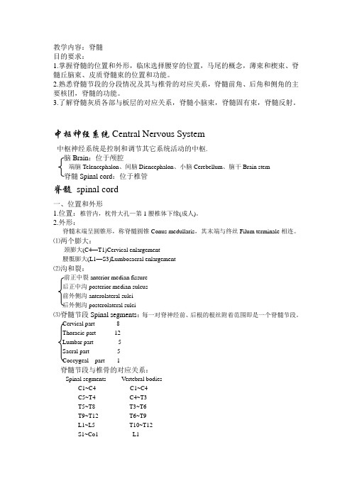 系解笔记(脊髓)