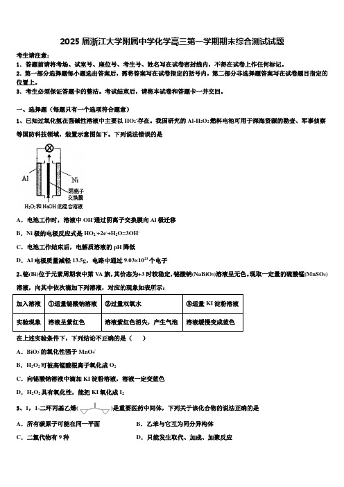 2025届浙江大学附属中学化学高三第一学期期末综合测试试题含解析