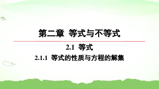 第二章-2.1.1-等式的性质与方程的解集高中数学必修第一册人教B版