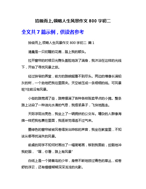 拾级而上,领略人生风景作文800字初二