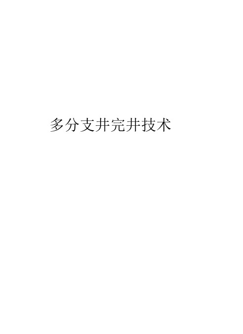 多分支井完井技术知识讲解