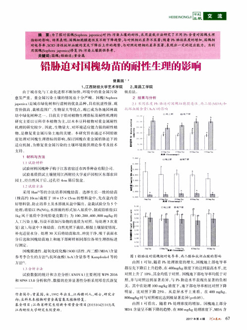 铅胁迫对国槐幼苗的耐性生理的影响