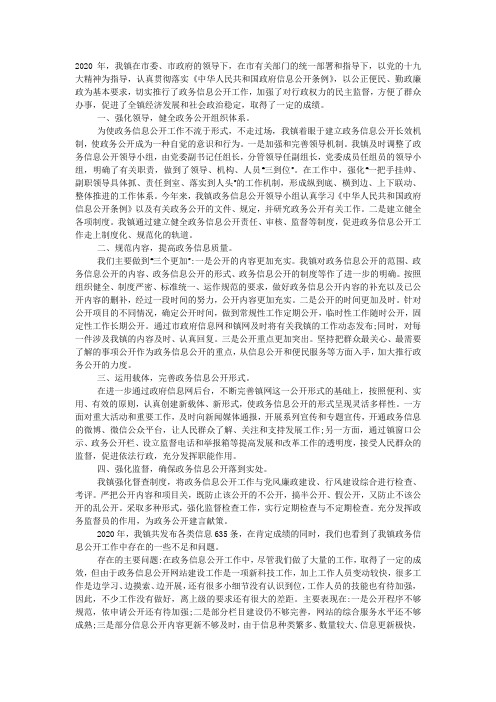 乡镇政务公开工作总结2020.docx