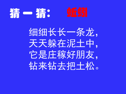 (三上)科学优秀课件- 蚯蚓 l 教科版 PPT(16页)