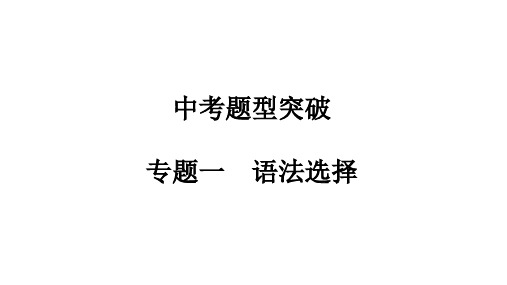 2024年牛津深圳版中考英语总复习总复习专题突破课件主题一 生活感悟