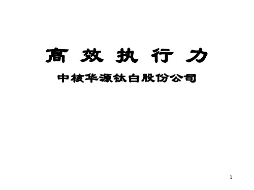 某化工股份公司高效执行力案例分析(ppt 80页)