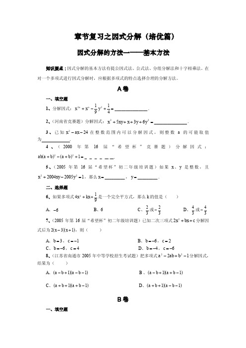 因式分解培优训练题(培优篇)+答案