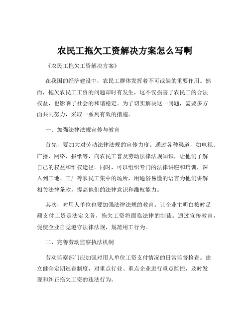 农民工拖欠工资解决方案怎么写啊