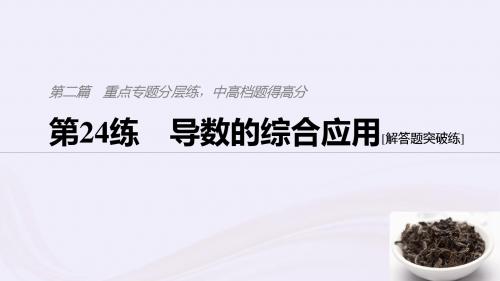 浙江高考数学复习专题分层练,中高档题得高分第24练导数的综合应用课件
