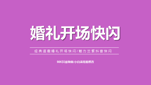 新版魅力兰紫婚礼开场抖音快闪ppt