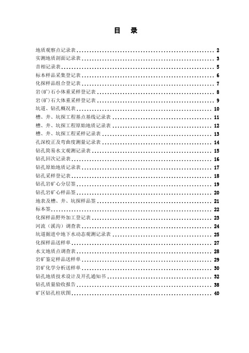 矿产调查及工程记录表格汇编