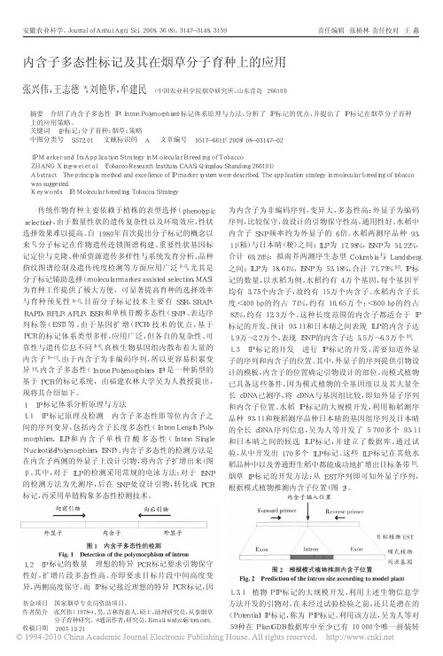 内含子多态性标记及其在烟草分子育种上的应用