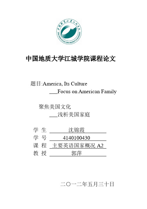 美国家庭-American Family