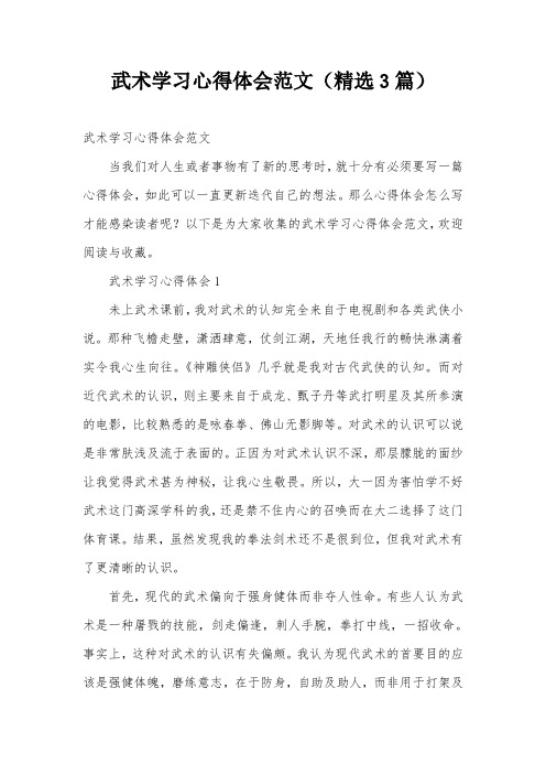 武术学习心得体会范文(精选3篇)