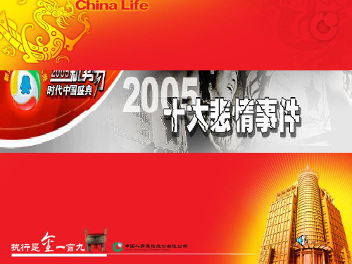 2005十大悲情事件