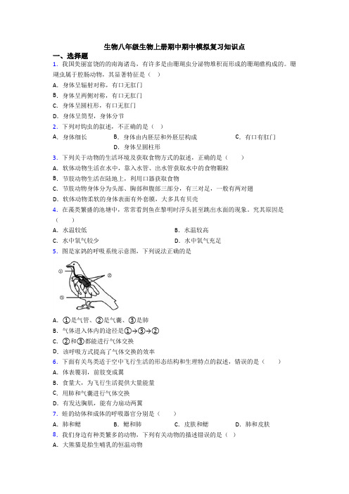 生物八年级生物上册期中期中模拟复习知识点