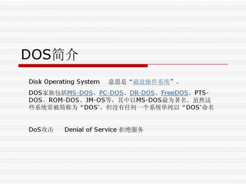 dos操作系统