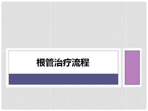 根管治疗流程ppt课件