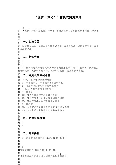 医护一体化工作方案.doc