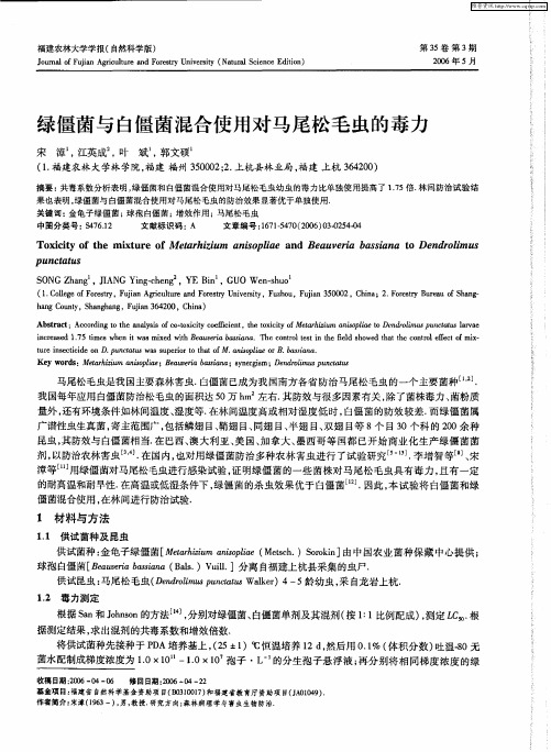 绿僵菌与白僵菌混合使用对马尾松毛虫的毒力