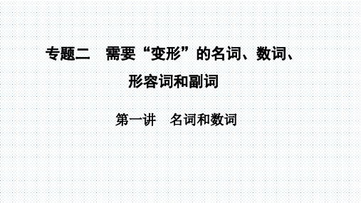 【高中英语语法公开课】第一讲 名词和数词